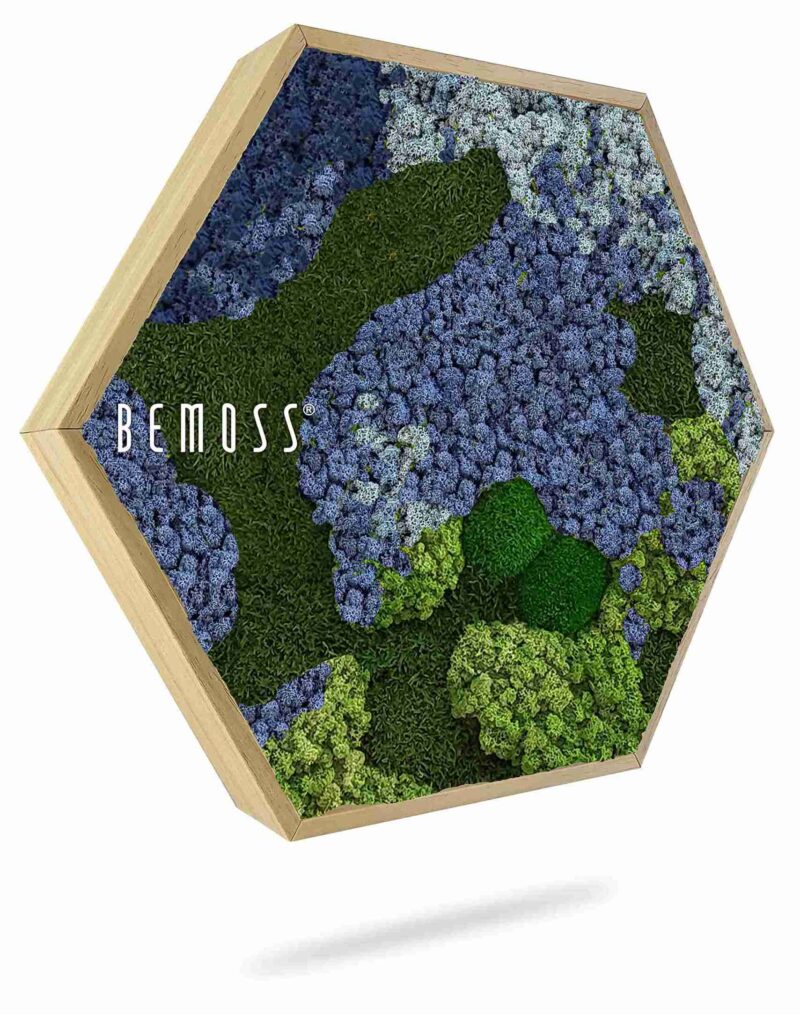 Cuadro de musgo Hexágono BEMOSS® ORTHO OMBRE Blue