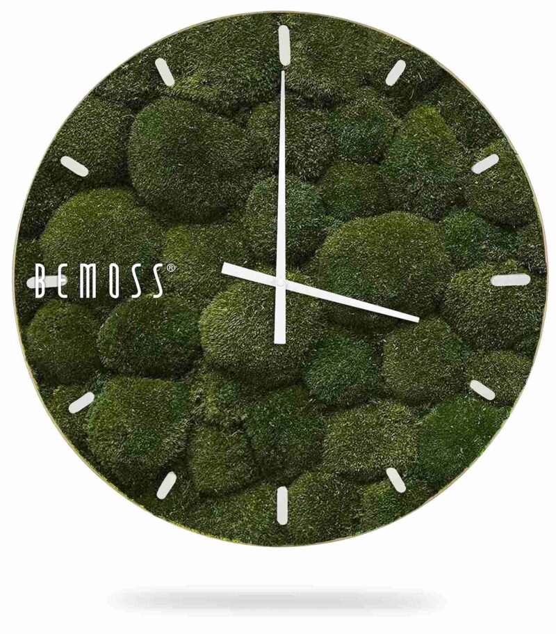 Reloj de musgo MUSGO DE COJÍN Natural con esfera