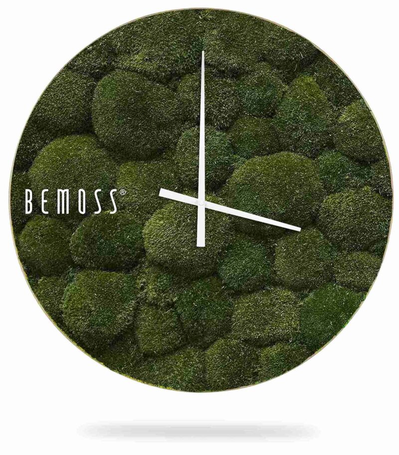 Reloj de musgo MUSGO DE COJÍN Natural