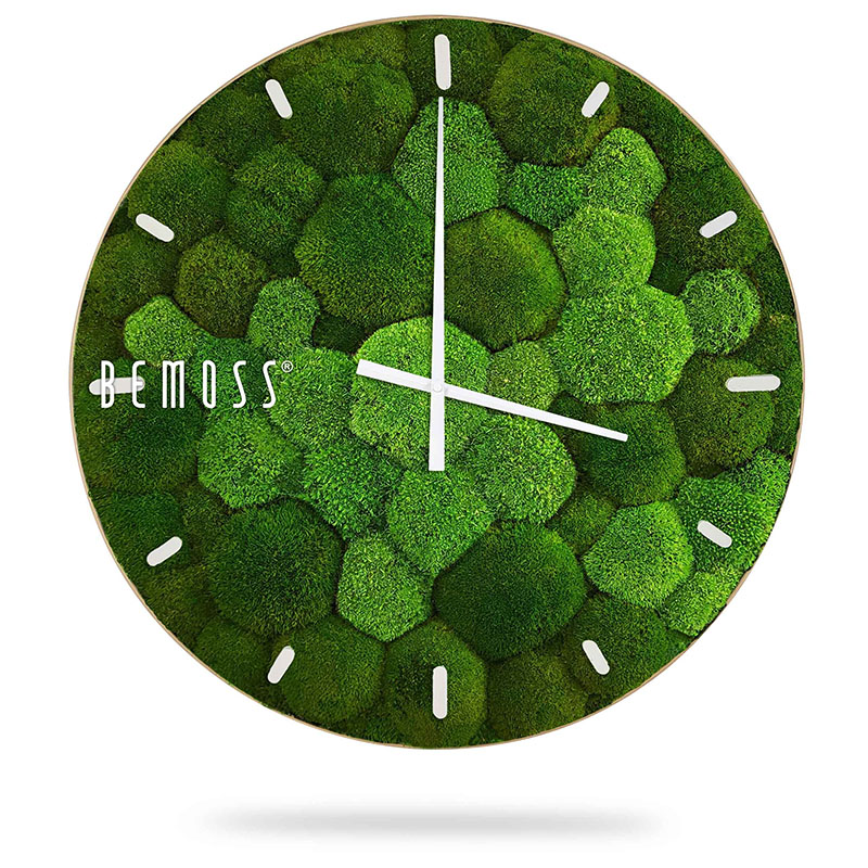 Relojes de musgo