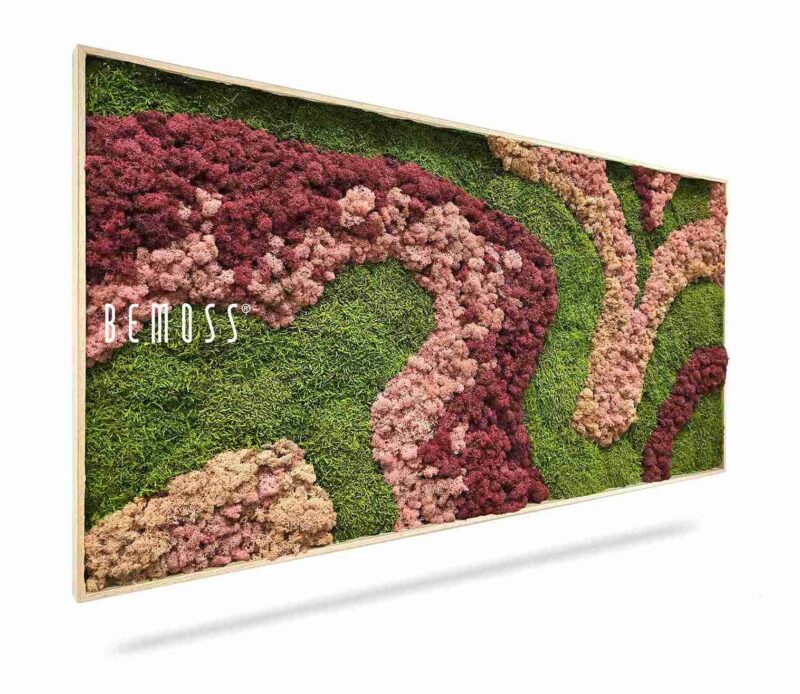 Cuadro de musgo BEMOSS® ORTHO ARROSA