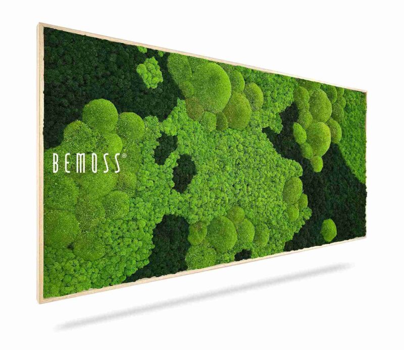 Cuadro de musgo BEMOSS® ORTHO CORCON