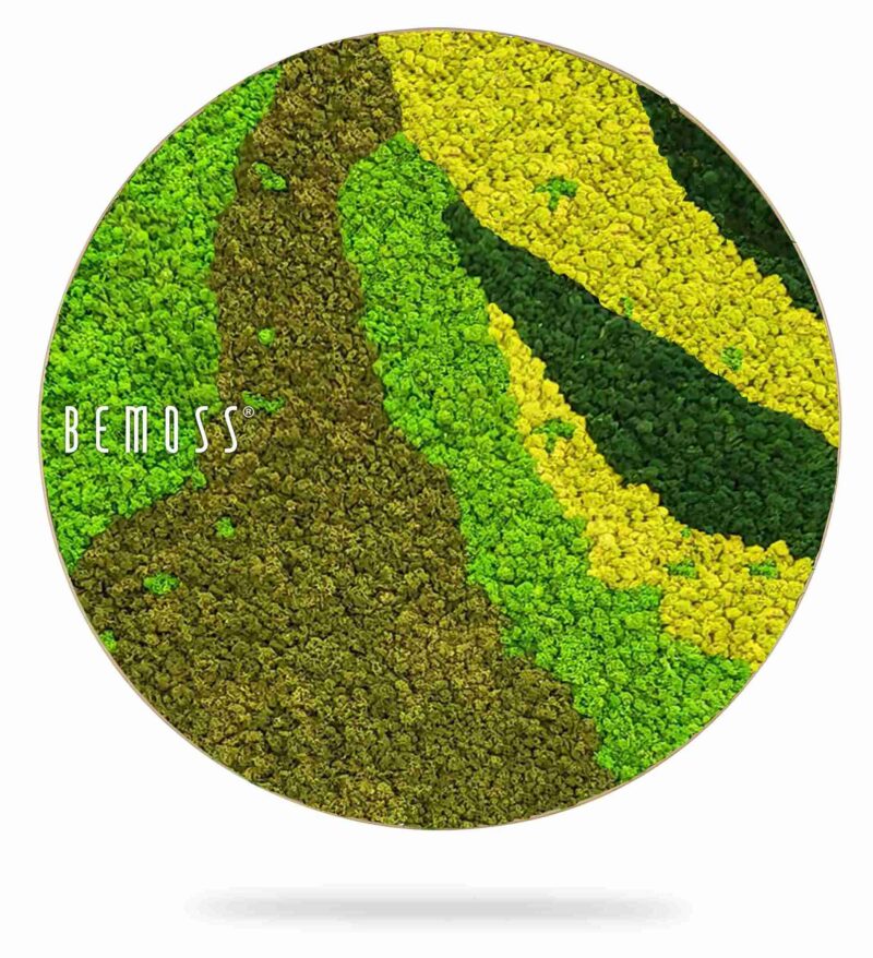 Cuadro de musgo redondo BEMOSS® ORTHO CARROT
