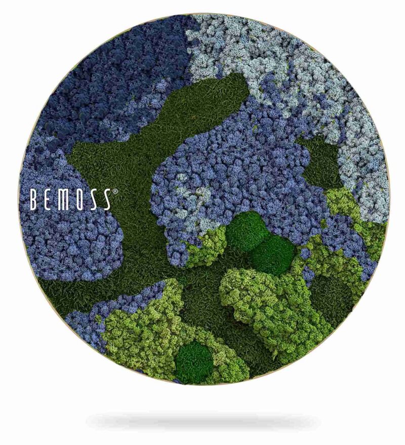 Cuadro de musgo Redondo BEMOSS® ORTHO OMBRE Blue