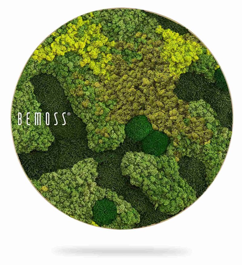Cuadro de musgo redondo BEMOSS® ORTHO MEDIUM