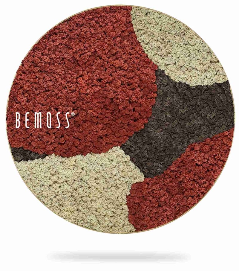 Cuadro de musgo redondo BEMOSS® ORTHO SIENNA