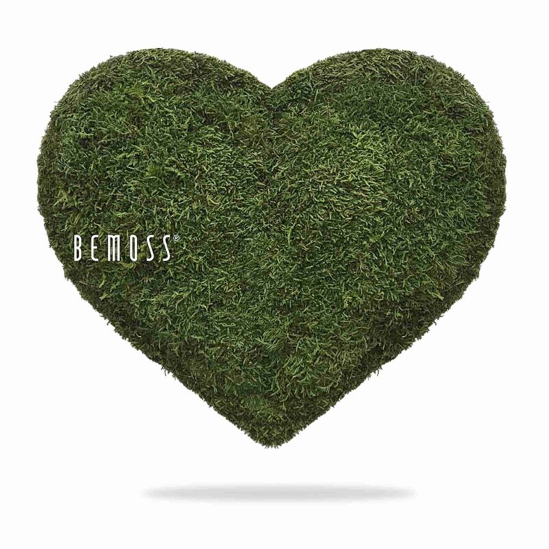 Corazones de musgo MUSGO PLANO Natural