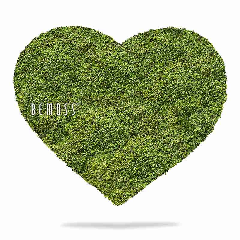 Corazones de musgo MUSGO PLANO Light