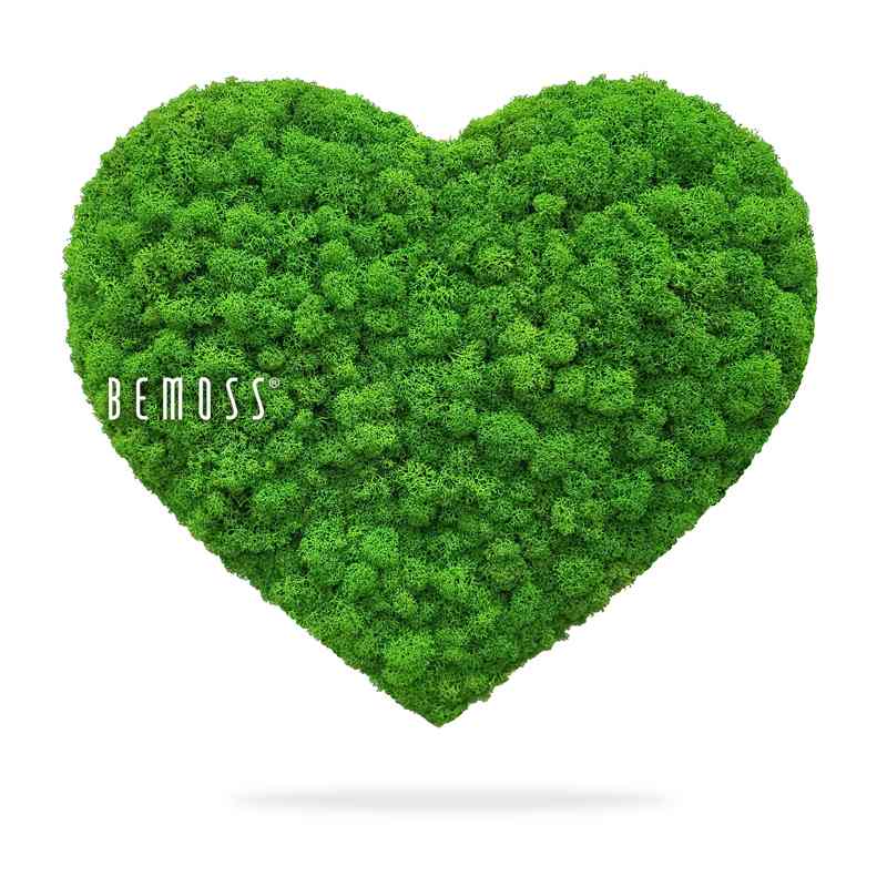 Corazones de musgo MUSGO DE ISLANDIA mono GREEN