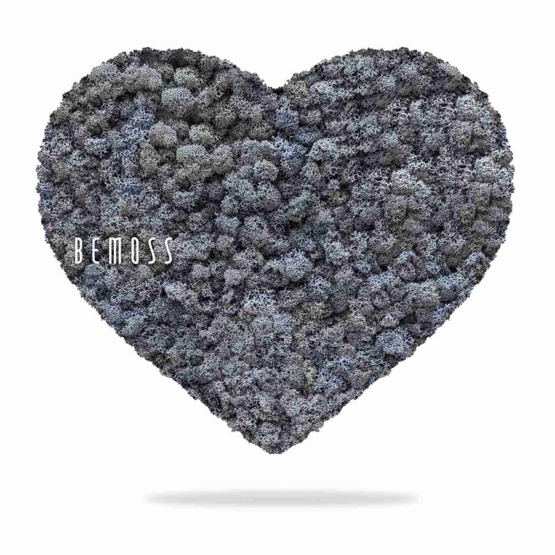 Corazones de musgo MUSGO DE ISLANDIA mono LEVANDER