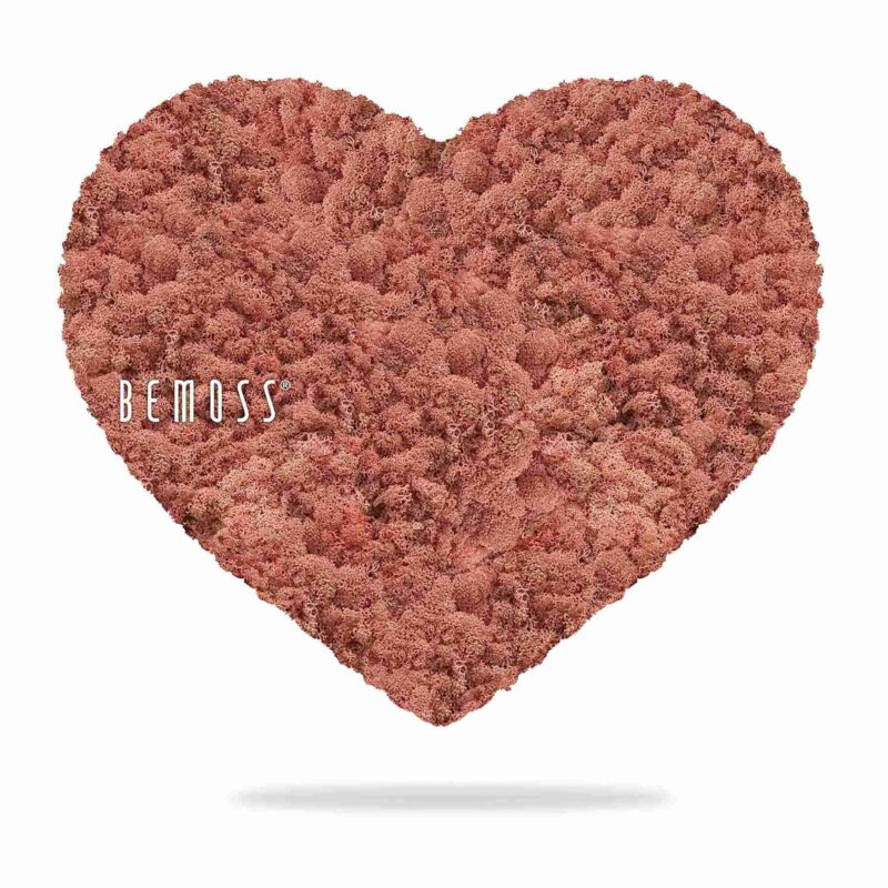 Corazones de musgo MUSGO DE ISLANDIA mono PINK