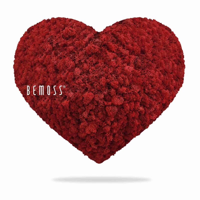 Corazones de musgo MUSGO DE ISLANDIA mono RED
