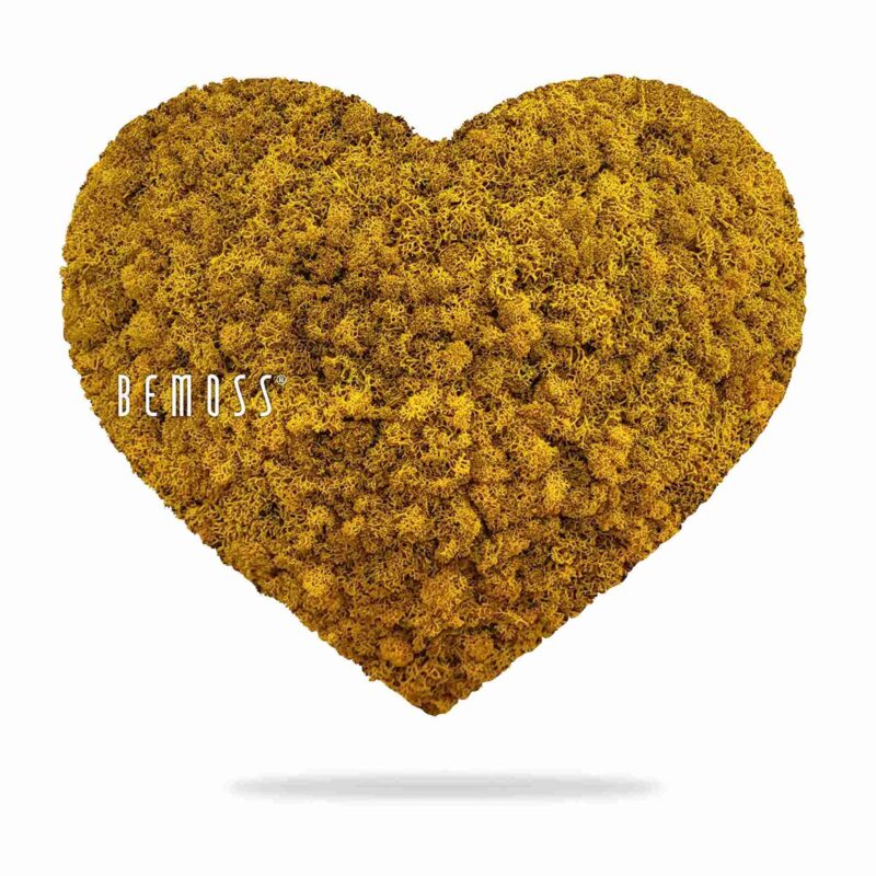 Corazones de musgo MUSGO DE ISLANDIA mono YELLOW