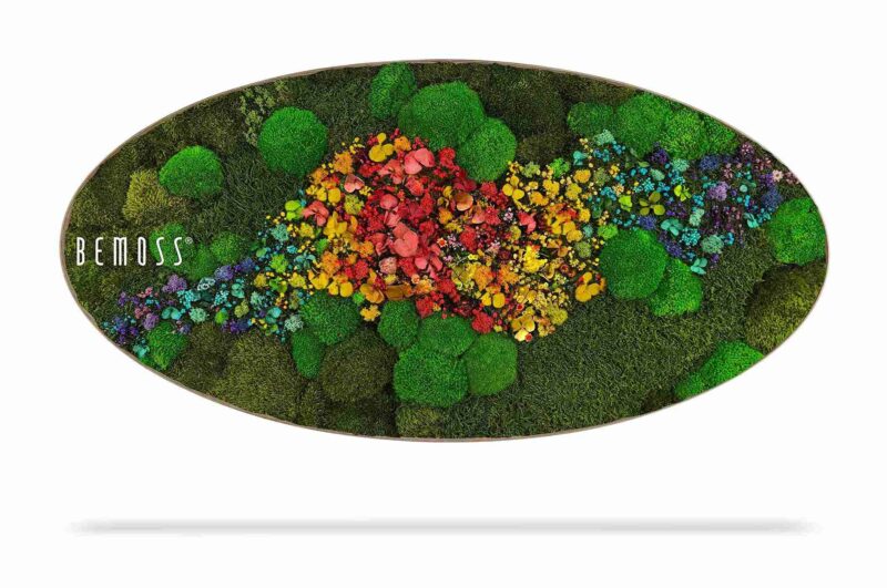Cuadro de musgo Elipse PLANTAS Acebo