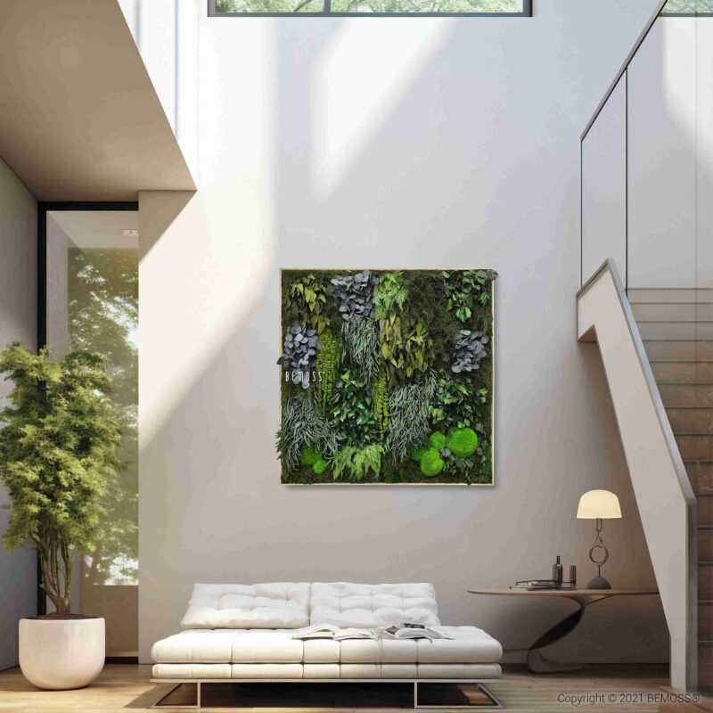 Cuadro de musgo PLANTAS Sancco XXL