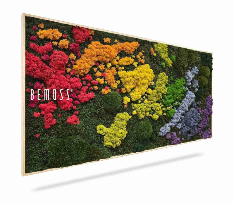 Cuadro de musgo BEMOSS® ORTHO IRIS