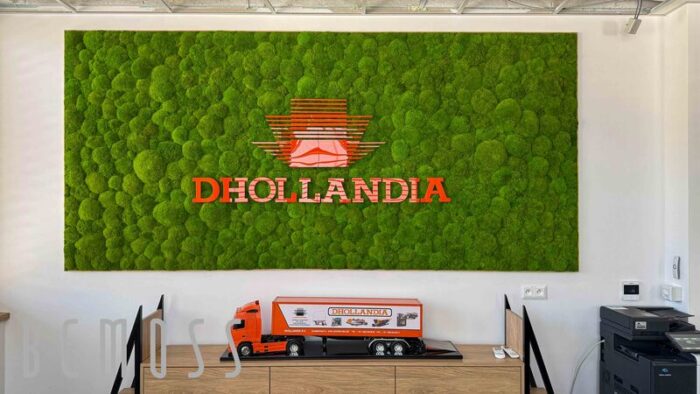 dhollandia-office-JPG-2.jpg