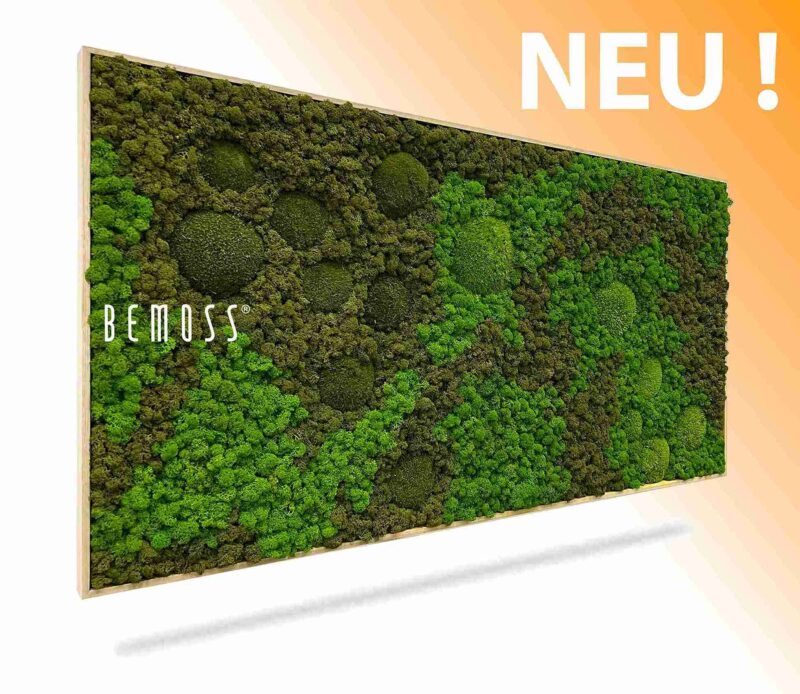 Cuadro de musgo BEMOSS® ORTHO ASEL