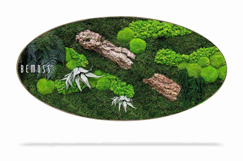 Cuadro de musgo Elipse PLANTAS Alona