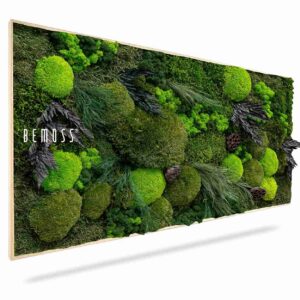 Cuadro de musgo PLANTAS Amar - Thumbnail Image 1