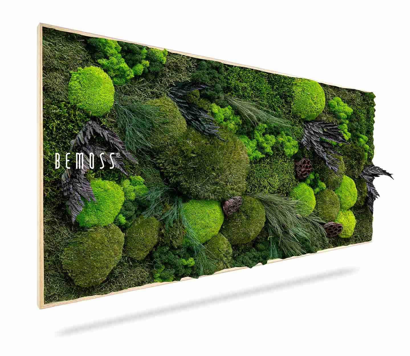 Cuadro de musgo PLANTAS Amar - Imagen 1