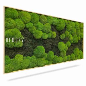 Cuadro de musgo FLATMOSS&BOLMOSS DUO Light Green - Thumbnail Image 1