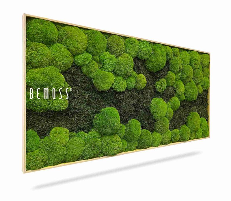 Cuadro de musgo FLATMOSS&BOLMOSS DUO Light Green