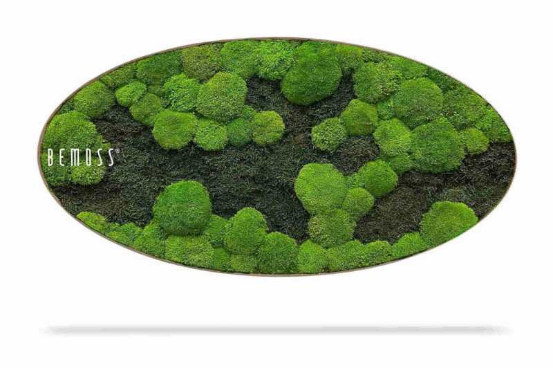 Cuadro de musgo Elipse FLATMOSS&BOLMOSS DUO Light Green