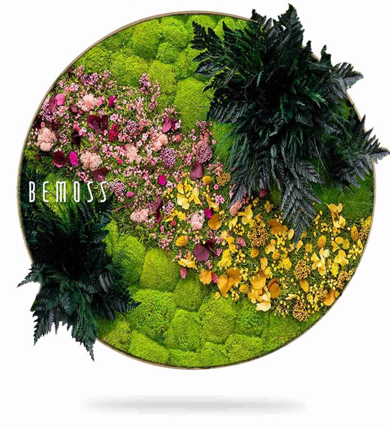 Cuadro redondo de musgo PLANTAS Cornella