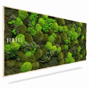 Cuadro de musgo BEMOSS® ORTHO DOVEN - Thumbnail Image 1
