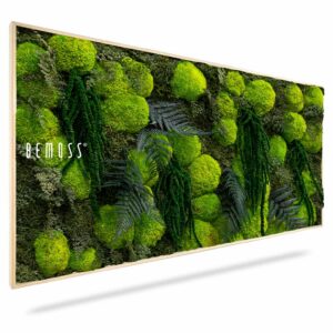 Cuadro de musgo PLANTAS Varex - Thumbnail Image 1