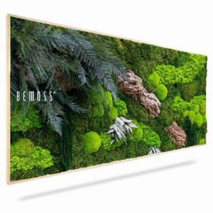 Cuadro de musgo PLANTAS Alona - Thumbnail Image 1