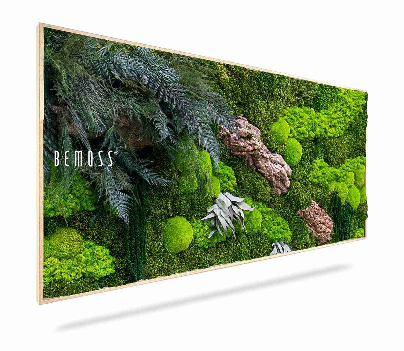 Cuadro de musgo PLANTAS Alona - Imagen 1