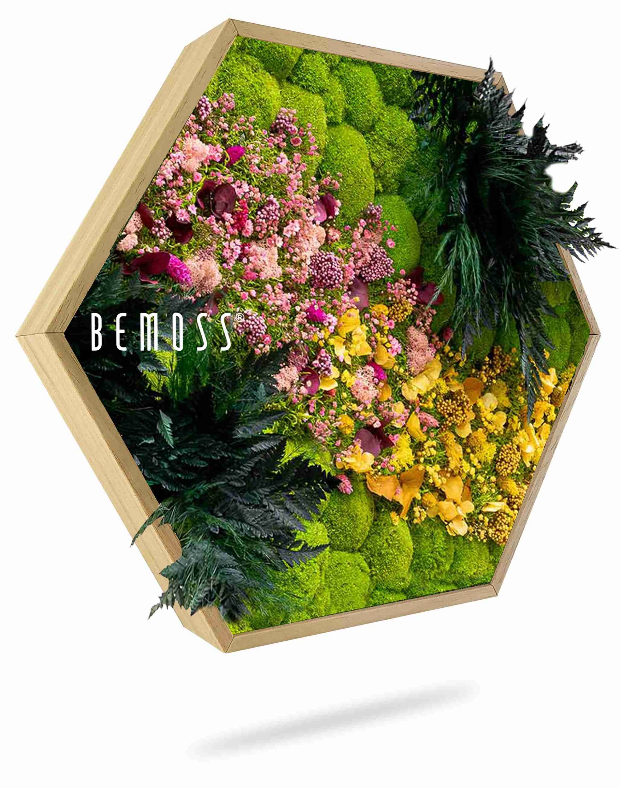 Hexágono de musgo PLANTAS Cornella - Imagen 1