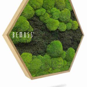 Cuadro de musgo Hexágono FLATMOSS&BOLMOSS DUO Light Green - Thumbnail Image 1