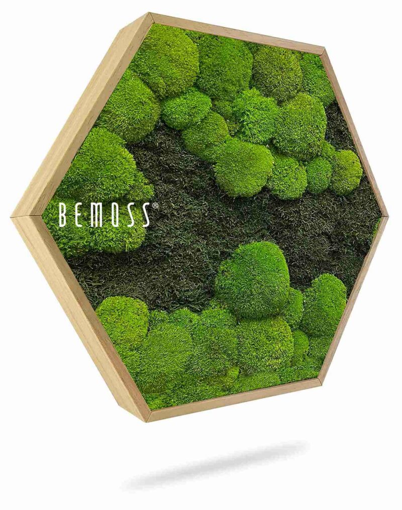 Cuadro de musgo Hexágono FLATMOSS&BOLMOSS DUO Light Green
