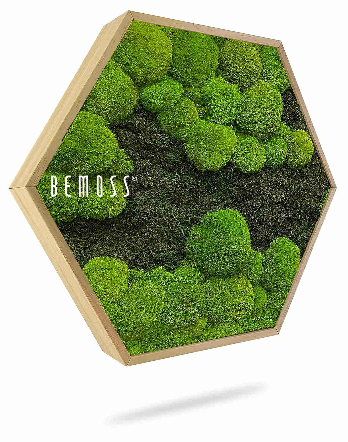 Cuadro de musgo Hexágono FLATMOSS&BOLMOSS DUO Light Green - Imagen 1
