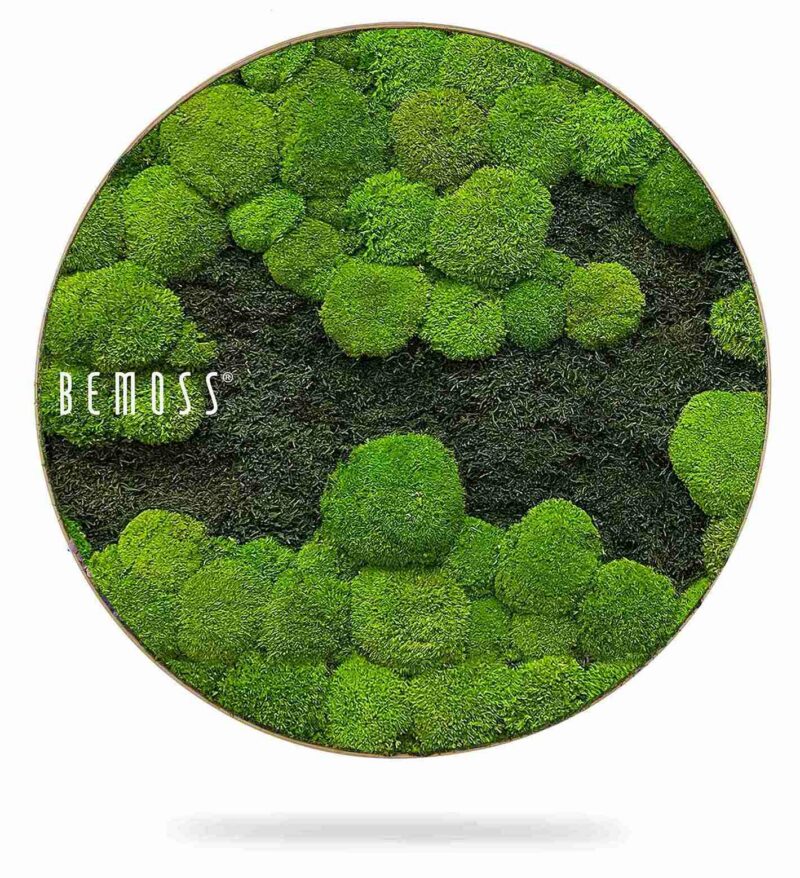 Cuadro de musgo redondo FLATMOSS&BOLMOSS DUO Light Green