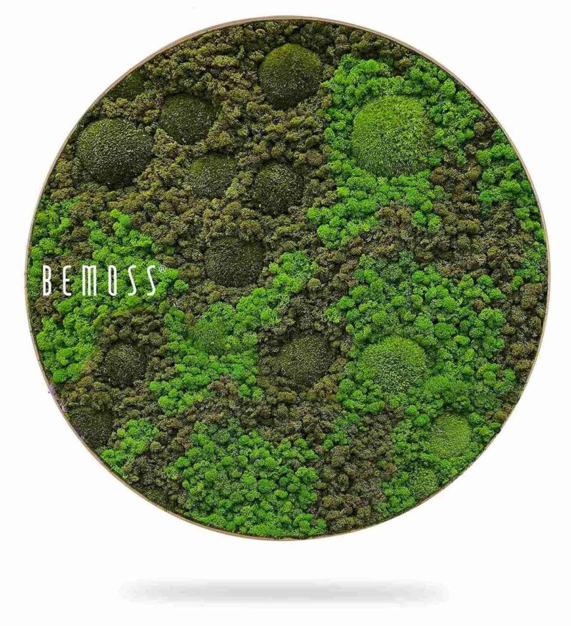 Cuadro de musgo Redondo BEMOSS® ORTHO ASEL