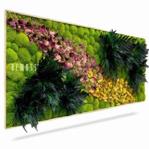 Cuadro de musgo PLANTAS Cornella - Thumbnail Image 1