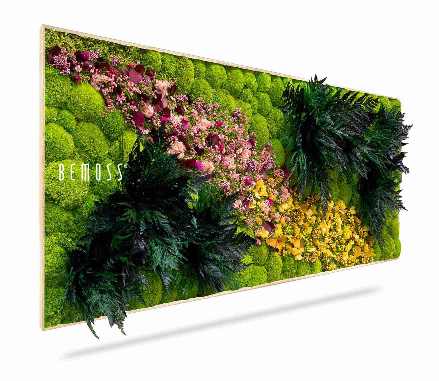 Cuadro de musgo PLANTAS Cornella - Imagen 1