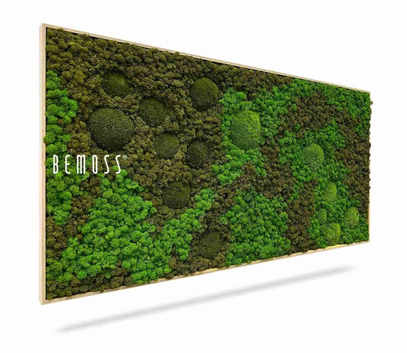 Cuadro de musgo BEMOSS® ORTHO ASEL