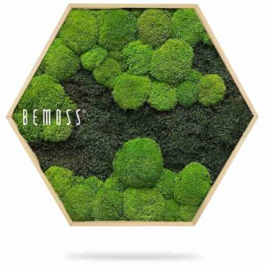 Cuadro de musgo Hexágono FLATMOSS&BOLMOSS DUO Light Green - Thumbnail Image 2