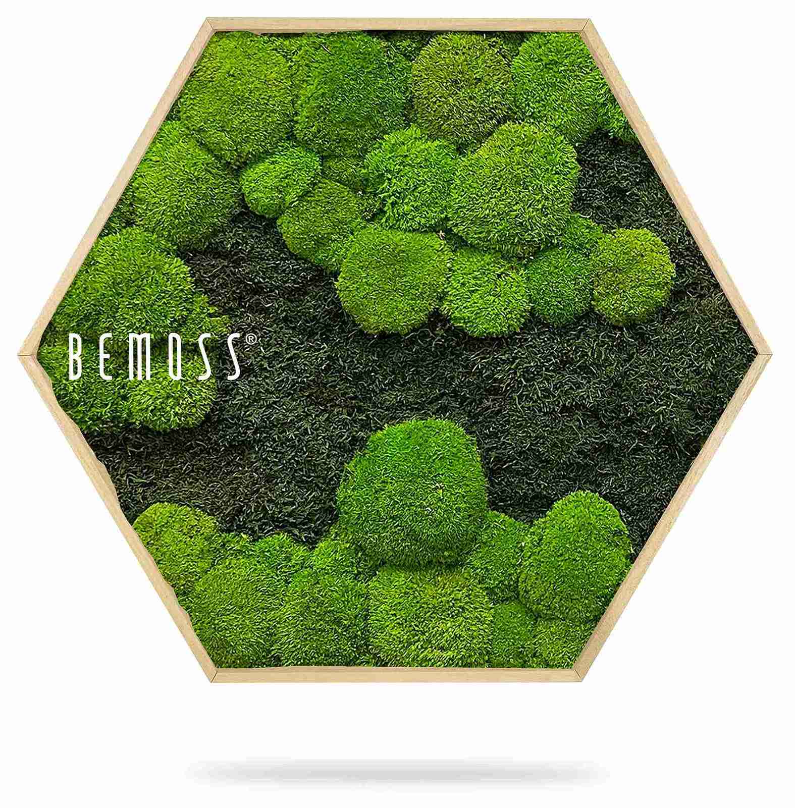 Cuadro de musgo Hexágono FLATMOSS&BOLMOSS DUO Light Green - Imagen 2