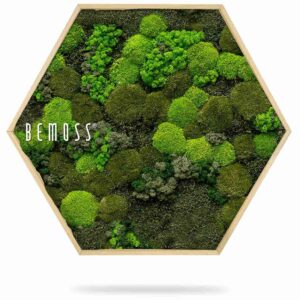 Cuadro de musgo Hexágono BEMOSS® ORTHO DOVEN - Thumbnail Image 2