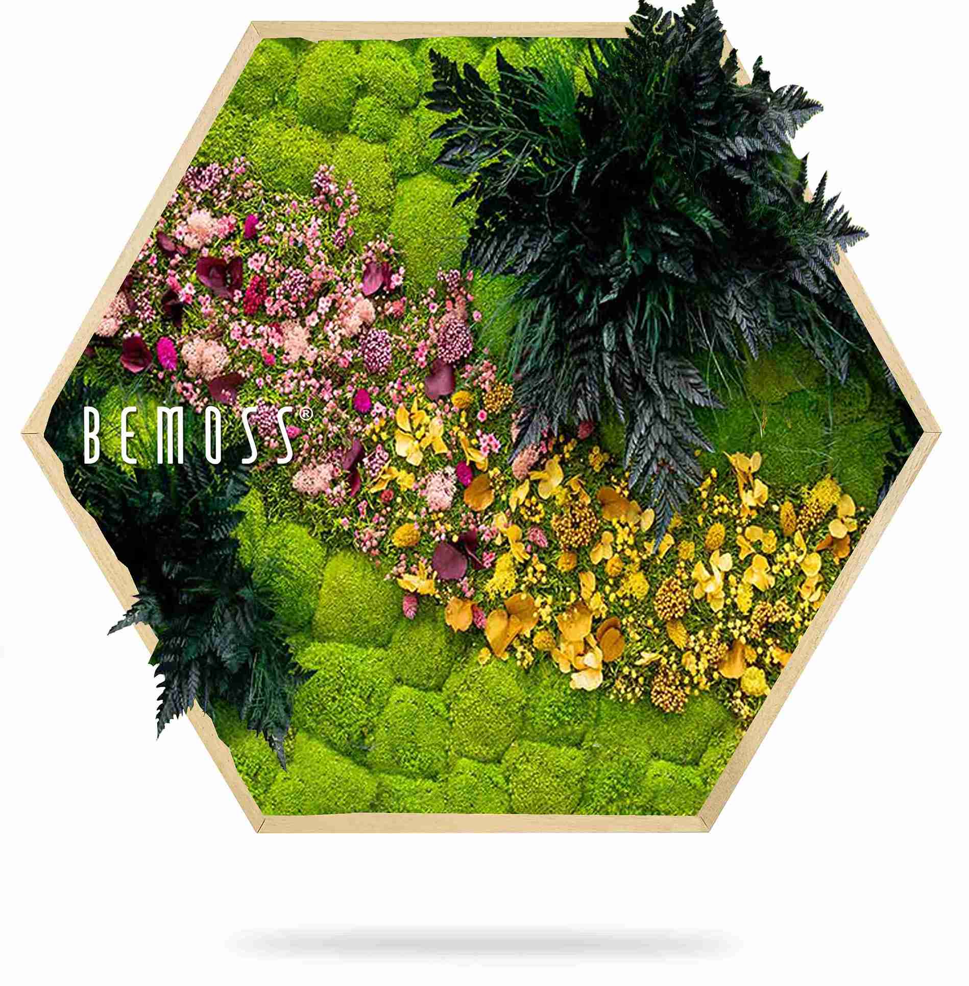 Hexágono de musgo PLANTAS Cornella - Imagen 2