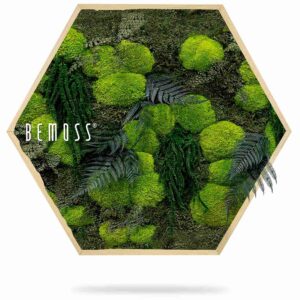 Cuadro de musgo Hexágono PLANTAS Varex - Thumbnail Image 2