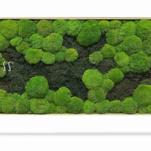 Cuadro de musgo FLATMOSS&BOLMOSS DUO Light Green - Thumbnail Image 2