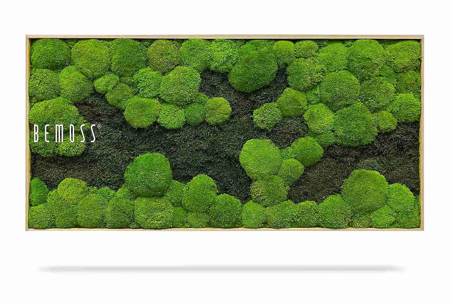 Cuadro de musgo FLATMOSS&BOLMOSS DUO Light Green - Imagen 2