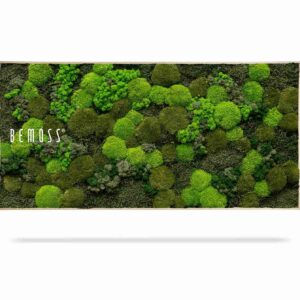 Cuadro de musgo BEMOSS® ORTHO DOVEN - Thumbnail Image 2